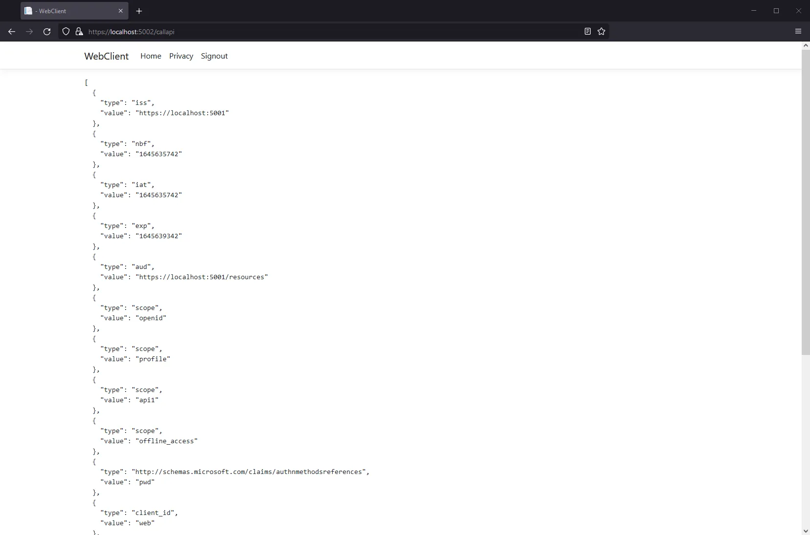 Showing claims retrieved from an API in an ASP.NET Core application